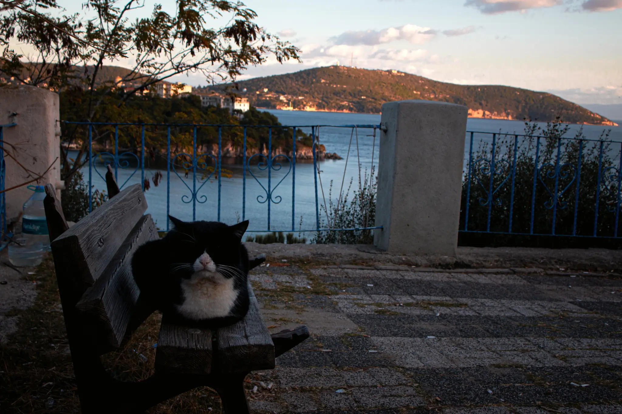 A shaded terrace overlooking the water