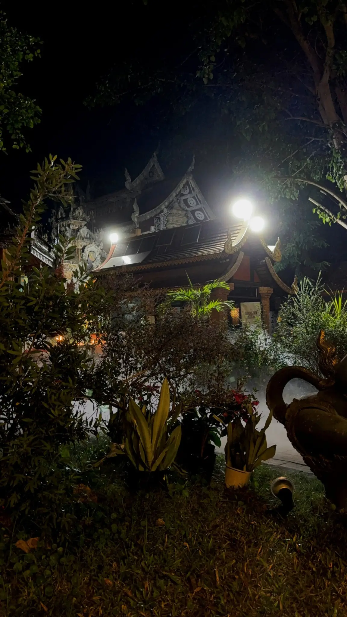 Ornate temple roof lit by lamps at night behind a dark garden