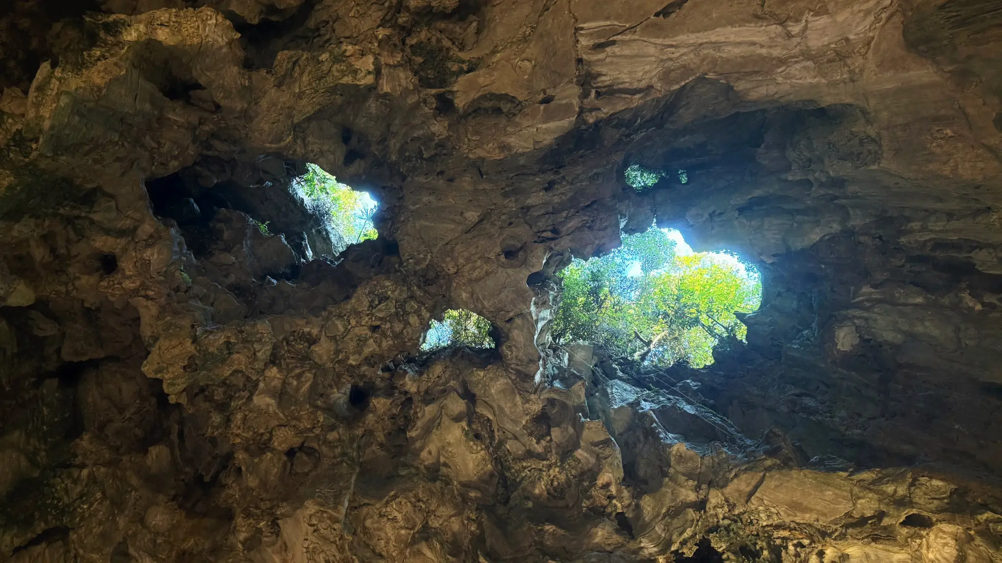 Looking up through openings in a cave ceiling to green trees above
