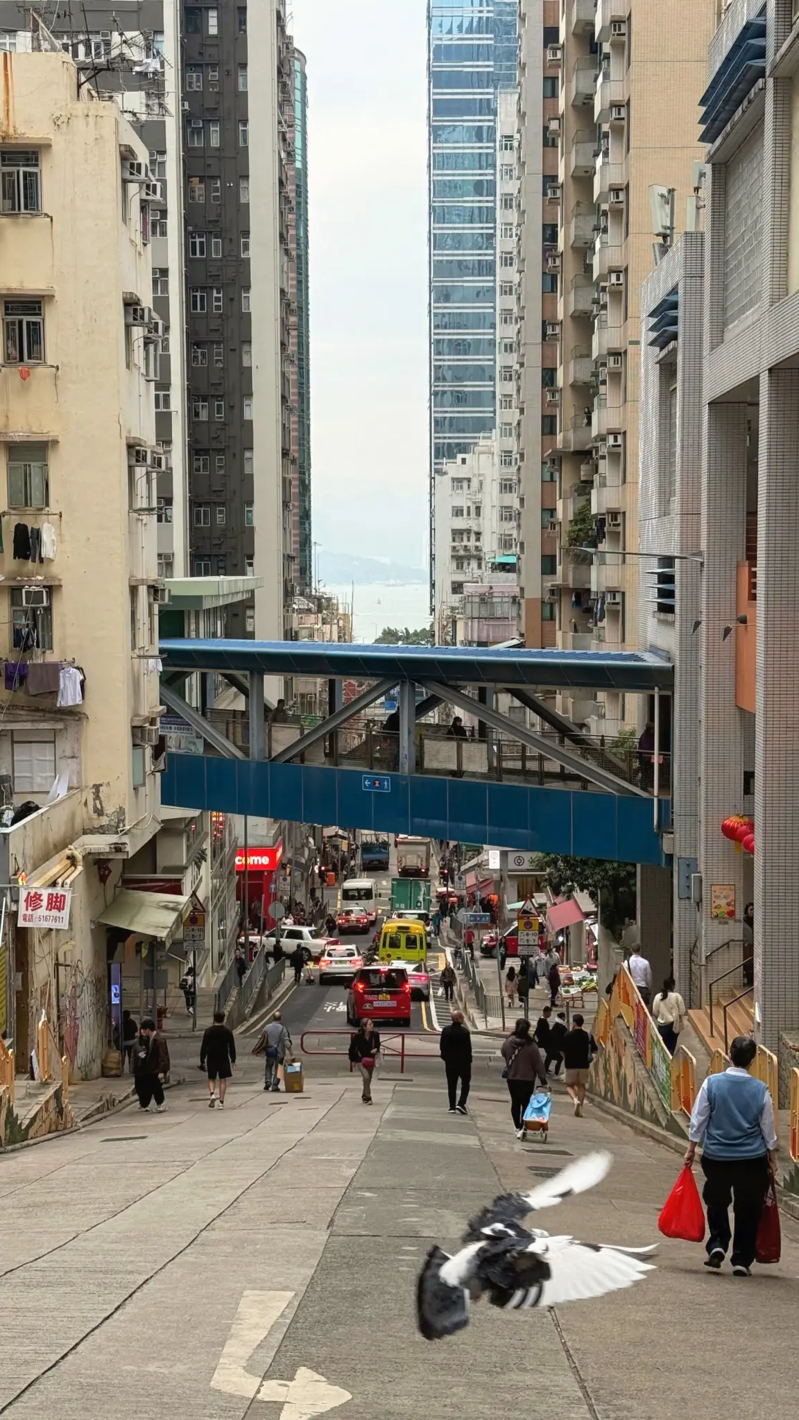 Steep street with a footbridge and high-rises, a pigeon taking flight in front