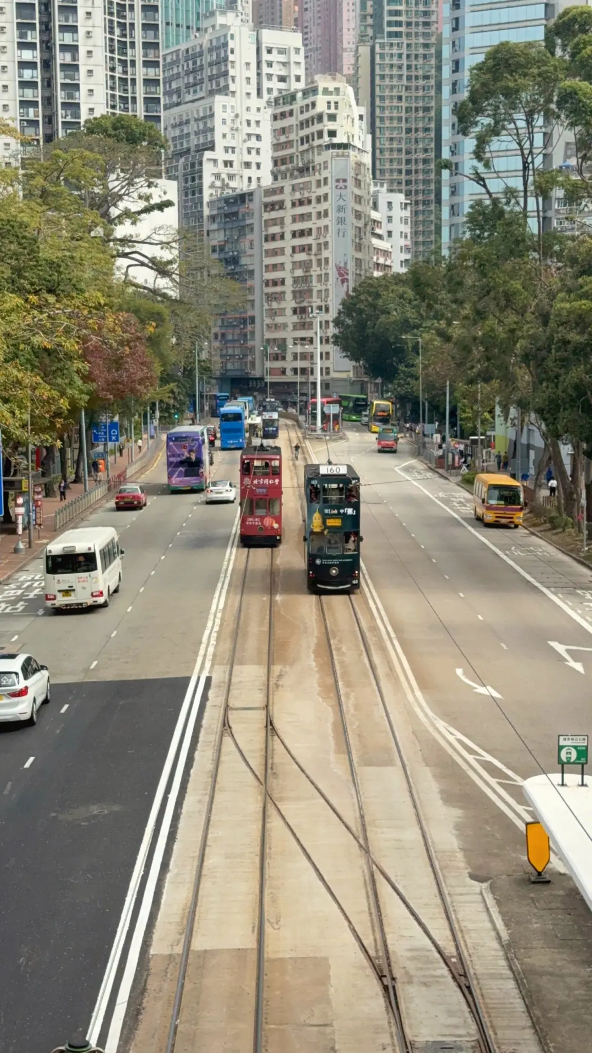 Double-decker trams running along a tree-lined road between tower blocks