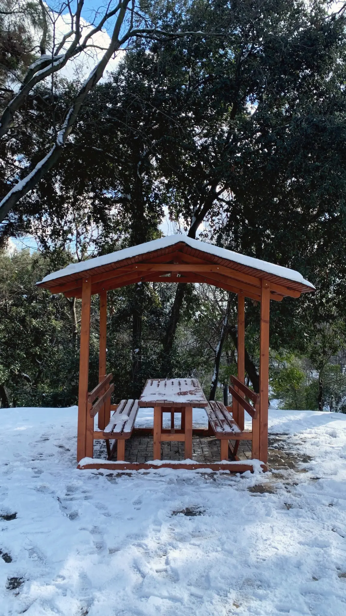Snow-covered wooden picnic shelter among trees in a winter park