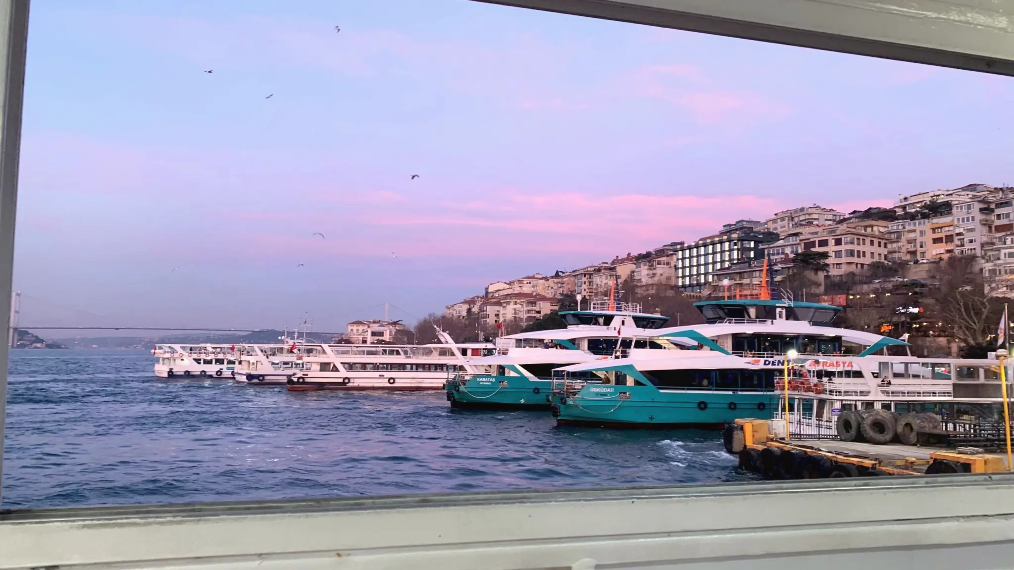 Ferries moored by a hillside neighbourhood under a pink evening sky