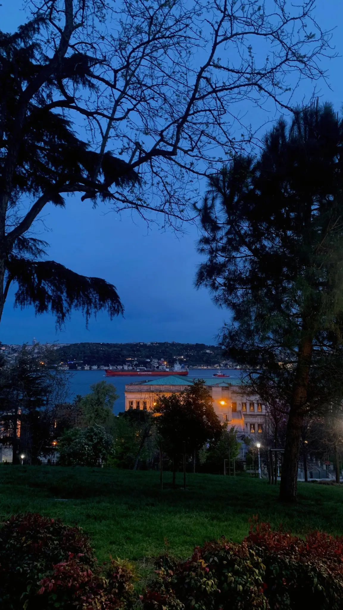Bosphorus view at blue hour through trees above a lawn
