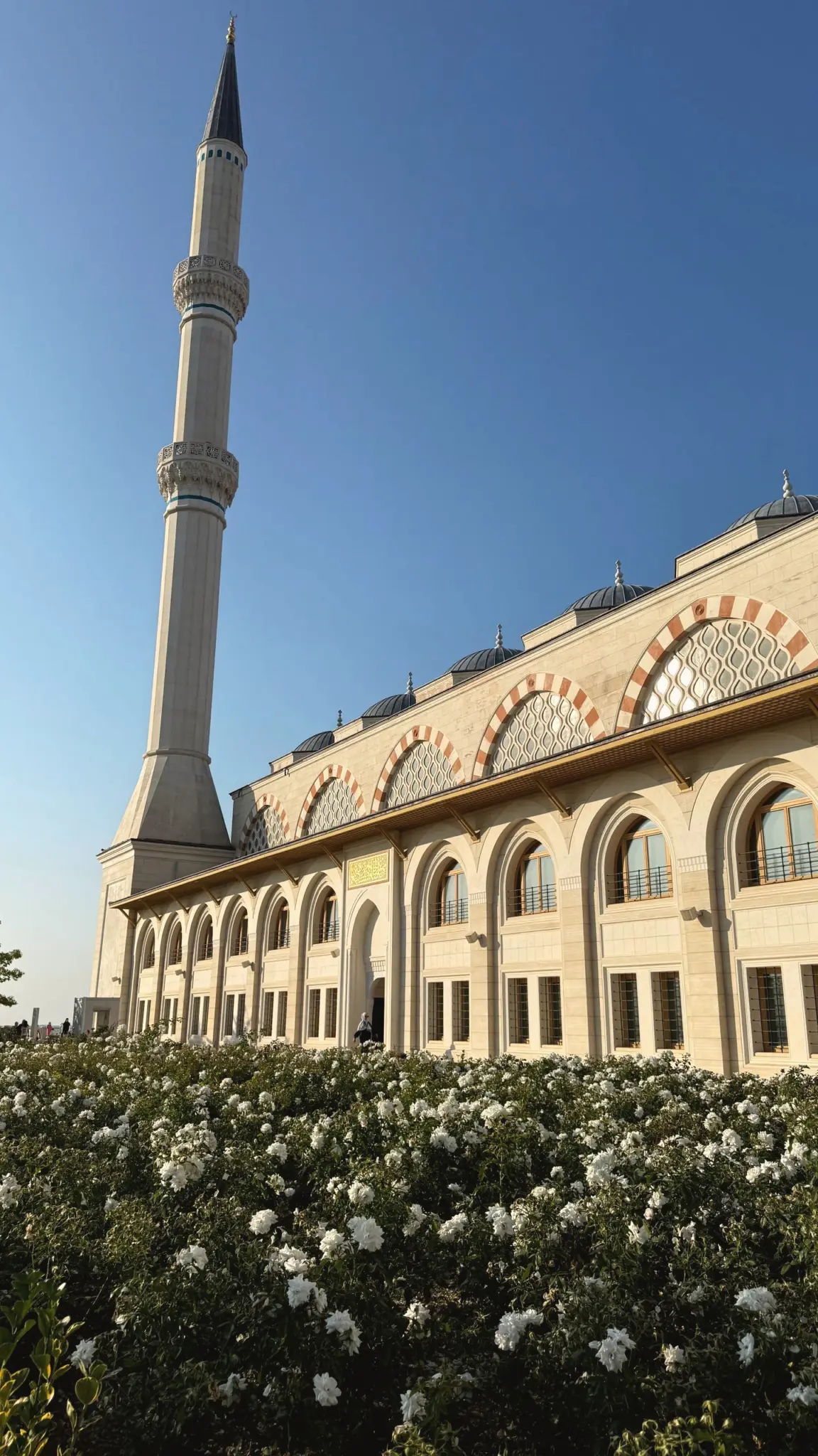 Tall minaret and arched mosque facade above white roses
