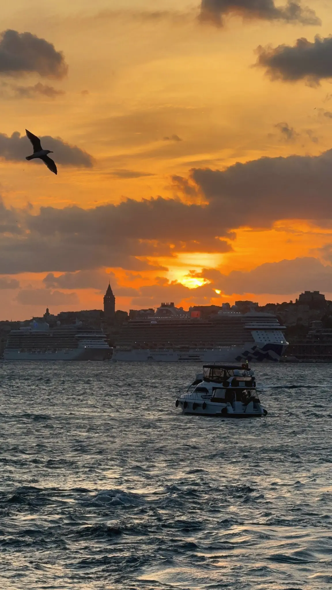 Gull and small boat on choppy water with Galata Tower silhouetted at sunset