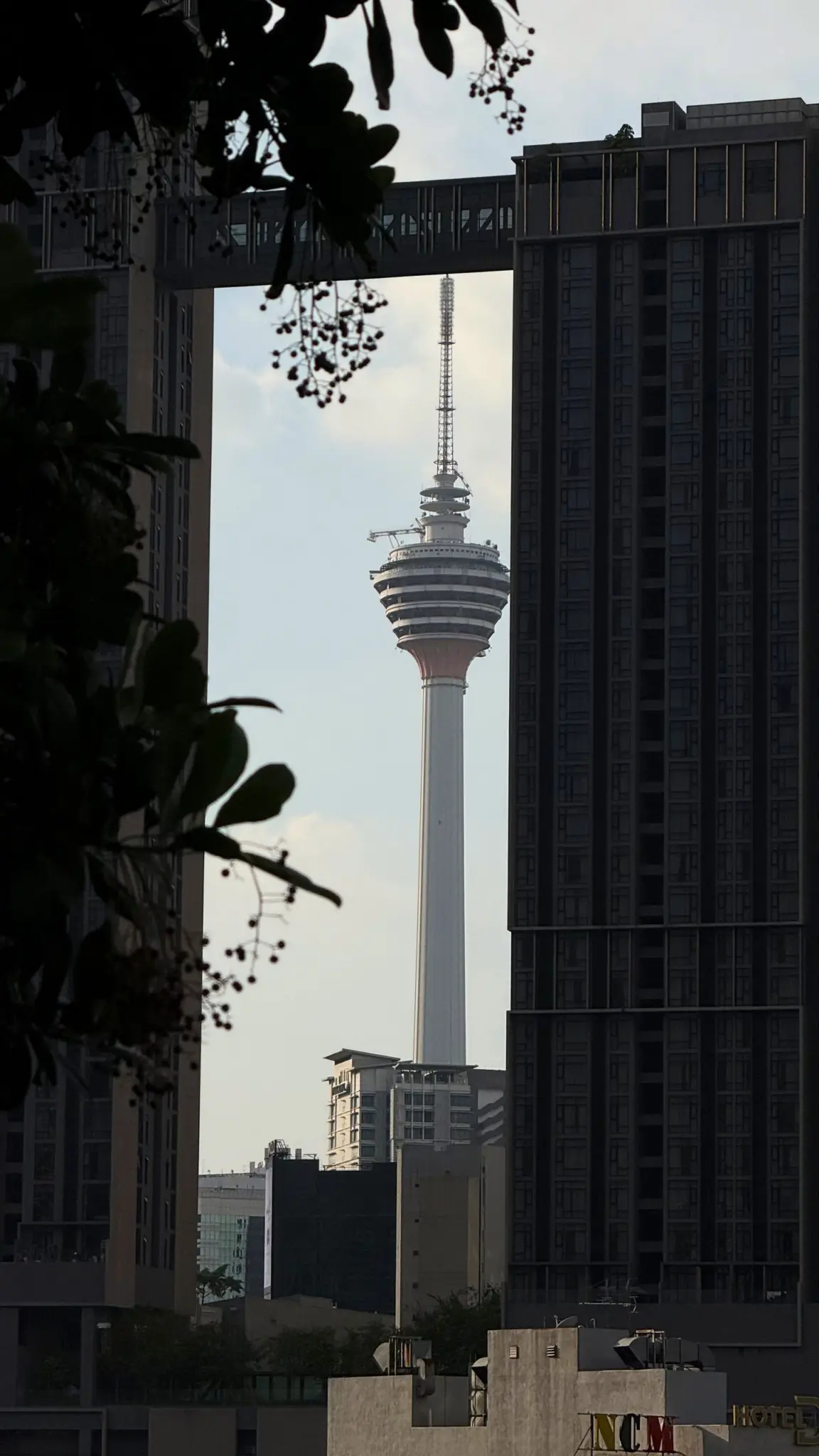 KL Tower framed between dark high-rise buildings and overhanging leaves
