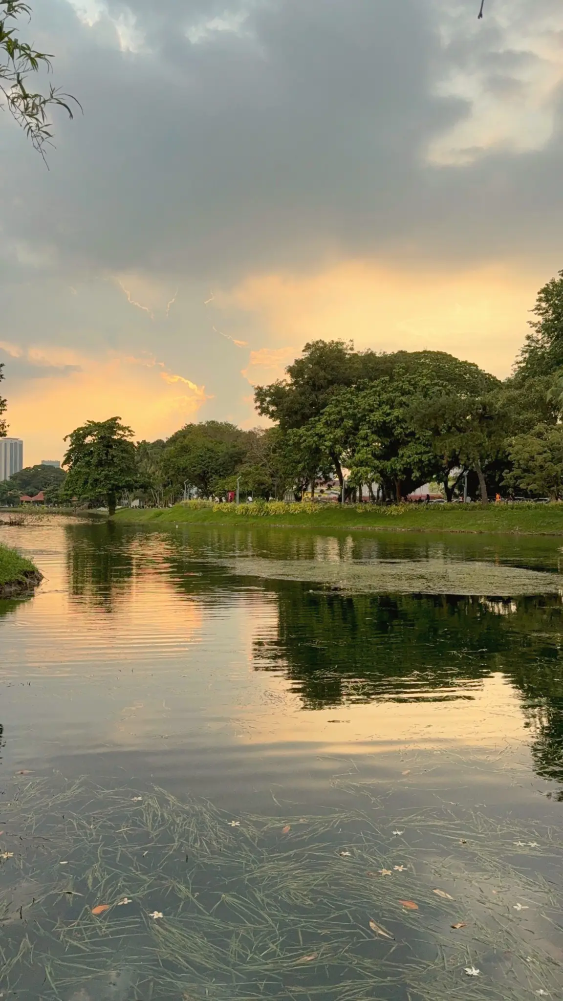 Calm lake reflecting trees and a golden evening sky in a city park