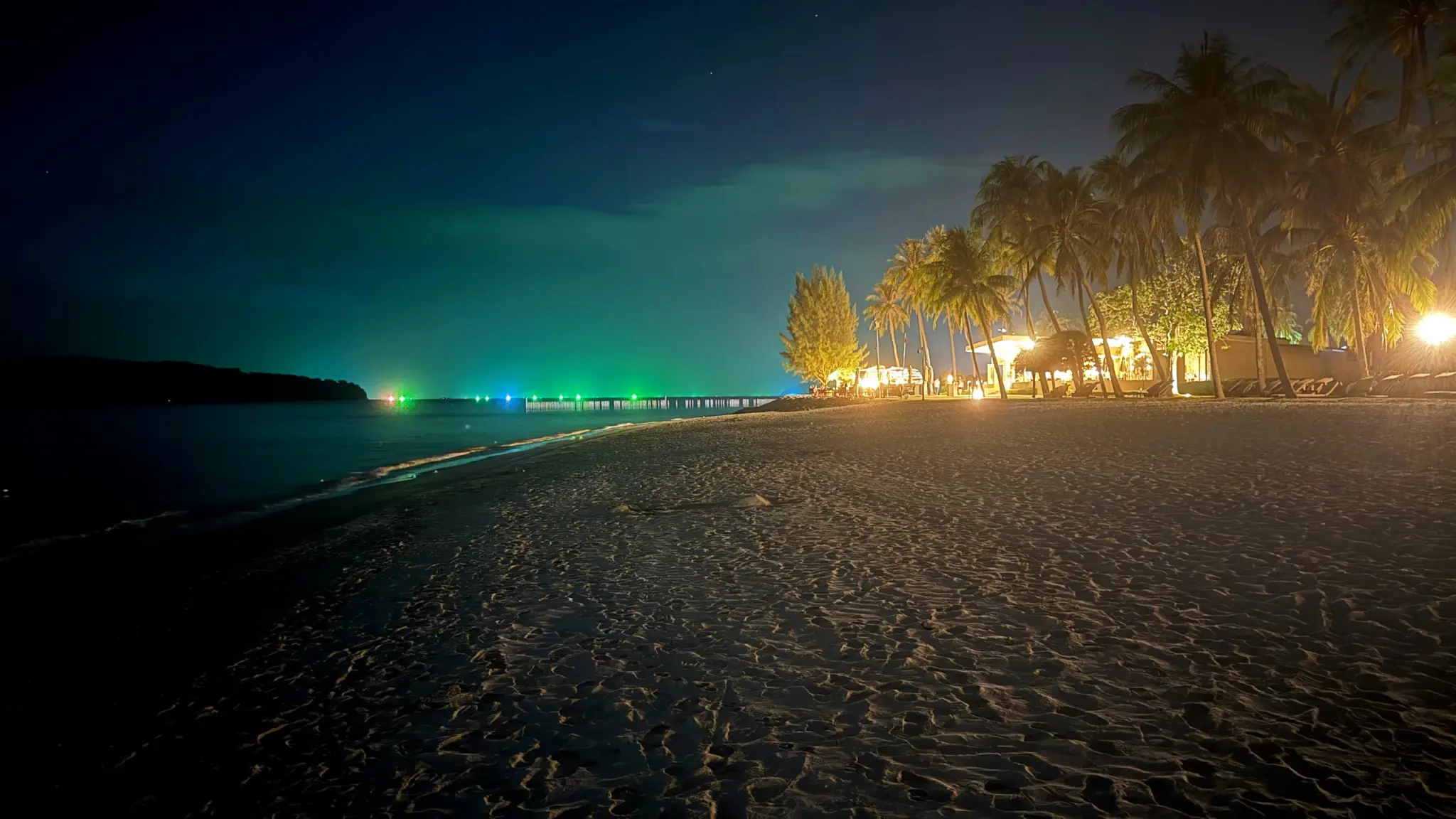 Sandy beach at night with palm trees and distant lights along the shore