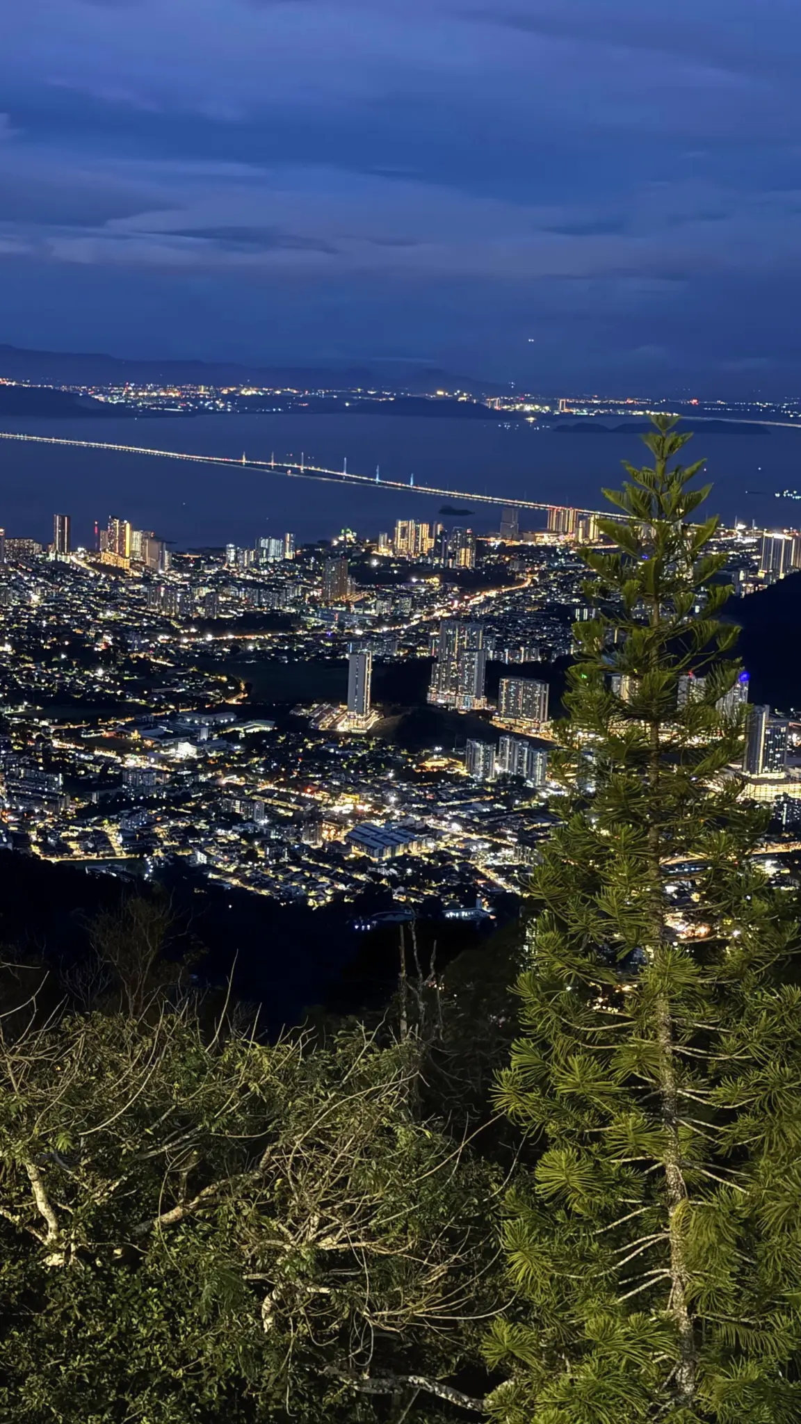 City lights and a long bridge across the strait seen from a hill at dusk